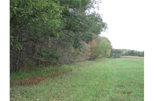 XXX County Rd F, Springbrook, WI 54875