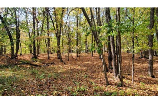 LOT 11 Indian Point Road, Chetek, WI 54728