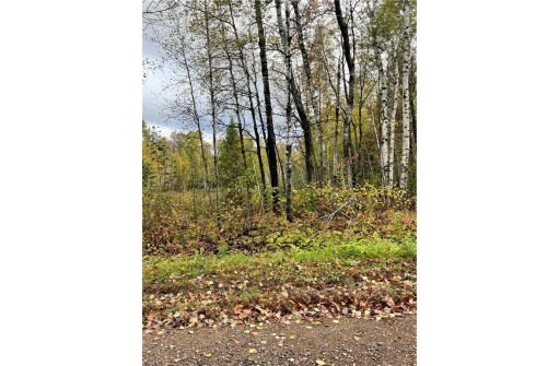 LOT 21 Hemlock Haven Road, Winter, WI 54896