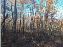 LOT 0 Parker Road, Mondovi, WI 54755