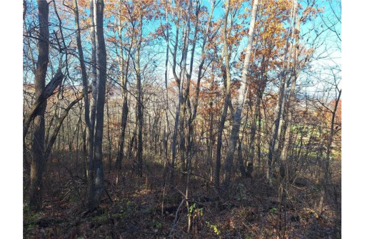 LOT 0 Parker Road, Mondovi, WI 54755