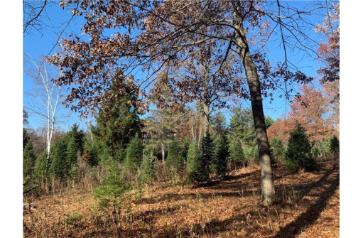 LOT 2 15087 County Hwy M, New Auburn, WI 54757