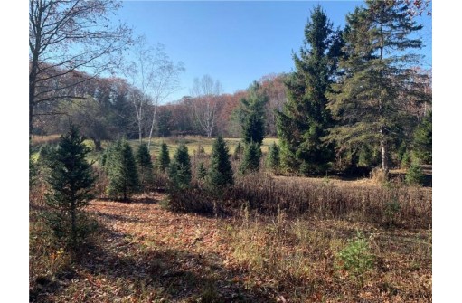 LOT 2 15087 County Hwy M, New Auburn, WI 54757