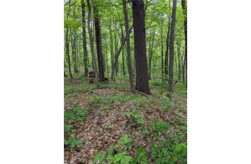 LOT 8 98th Avenue, Chippewa Falls, WI 54729