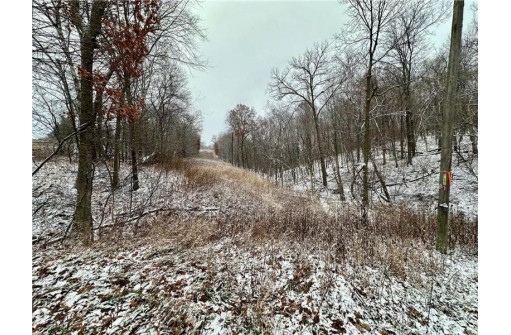 LOT 1(4.72 ACRES) 50th Avenue, Plum City, WI 54761