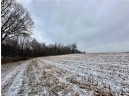 LOT 1(4.72 ACRES) 50th Avenue, Plum City, WI 54761