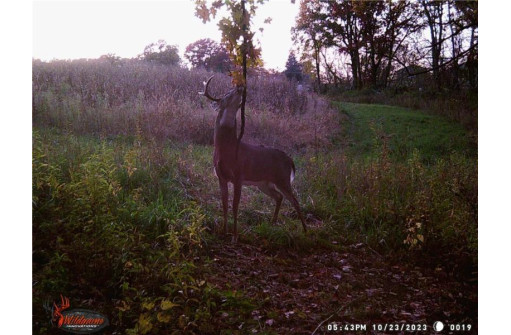 LOT 1(4.72 ACRES) 50th Avenue, Plum City, WI 54761