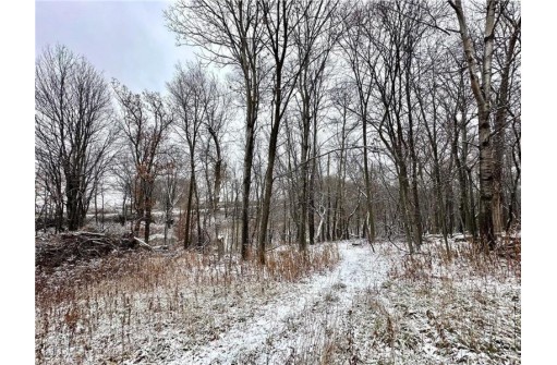 LOT 1(4.72 ACRES) 50th Avenue, Plum City, WI 54761