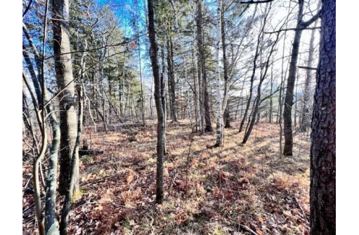 LOT 36 Hatchery Road, Hayward, WI 54843