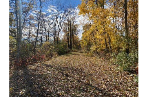 25 ACRES 27 1/2 Ave, Rice Lake, WI 54868