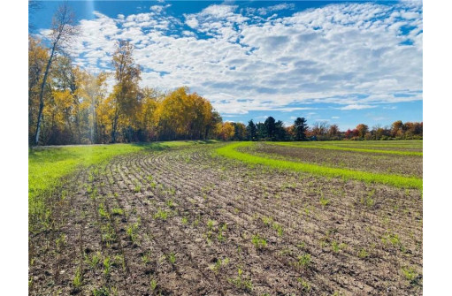 25 ACRES 27 1/2 Ave, Rice Lake, WI 54868