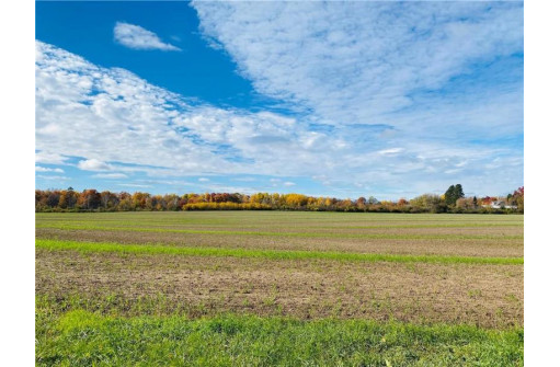 25 ACRES 27 1/2 Ave, Rice Lake, WI 54868