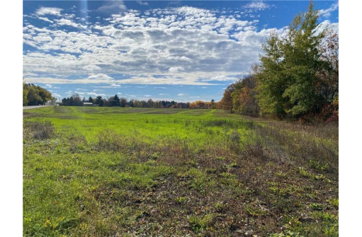 25 ACRES 27 1/2 Ave, Rice Lake, WI 54868