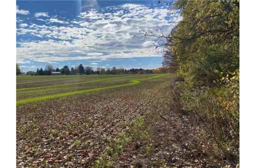 25 ACRES 27 1/2 Ave, Rice Lake, WI 54868