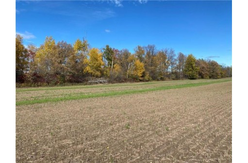 25 ACRES 27 1/2 Ave, Rice Lake, WI 54868