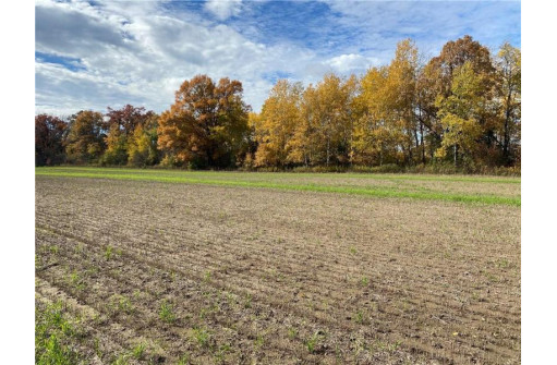 25 ACRES 27 1/2 Ave, Rice Lake, WI 54868