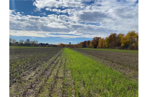 25 ACRES 27 1/2 Ave, Rice Lake, WI 54868