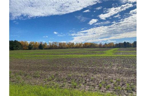 25 ACRES 27 1/2 Ave, Rice Lake, WI 54868