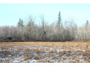 596 ACRES Nail Creek Rd, Exeland, WI 54835