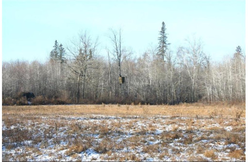 596 ACRES Nail Creek Rd, Exeland, WI 54835