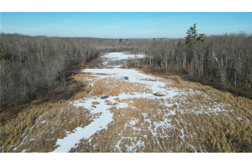 596 ACRES Nail Creek Rd, Exeland, WI 54835