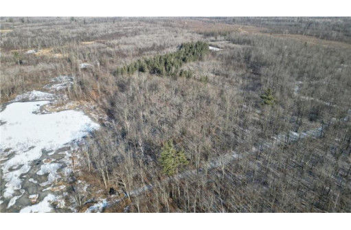 596 ACRES Nail Creek Rd, Exeland, WI 54835