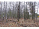 25 Acres On Mae West Road, Ladysmith, WI 54848