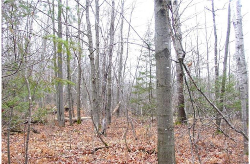 25 Acres On Mae West Road, Ladysmith, WI 54848