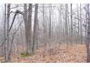 25 Acres On Mae West Road, Ladysmith, WI 54848