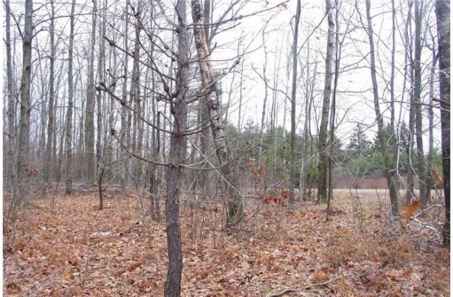 25 Acres On Mae West Road, Ladysmith, WI 54848