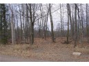 25 Acres On Mae West Road, Ladysmith, WI 54848