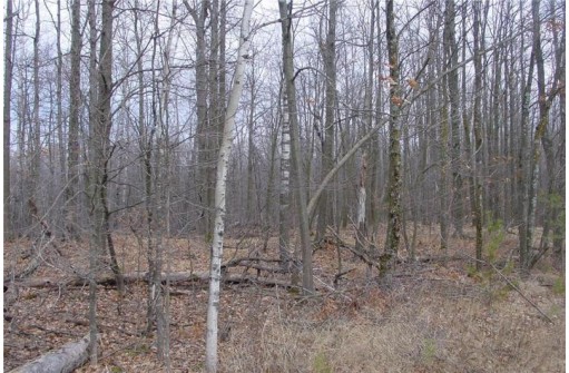 25 Acres On Mae West Road, Ladysmith, WI 54848