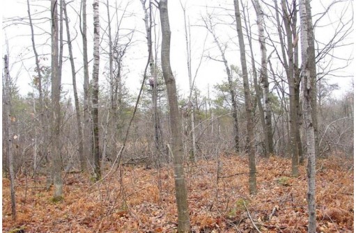 25 Acres On Mae West Road, Ladysmith, WI 54848