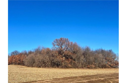 LOT 1 28th Avenue, Elk Mound, WI 54739