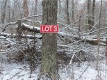 LOT 3 Blackberry Rd Trego, WI 54888