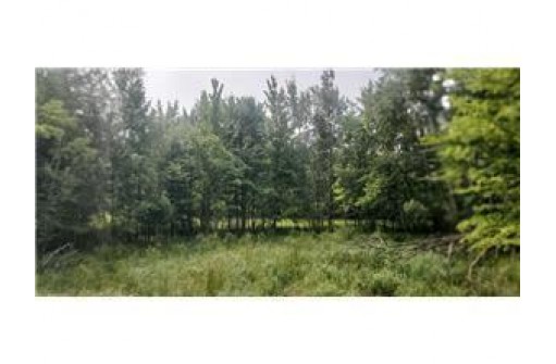 LOT 4 XXX County Road D, Clayton, WI 54004