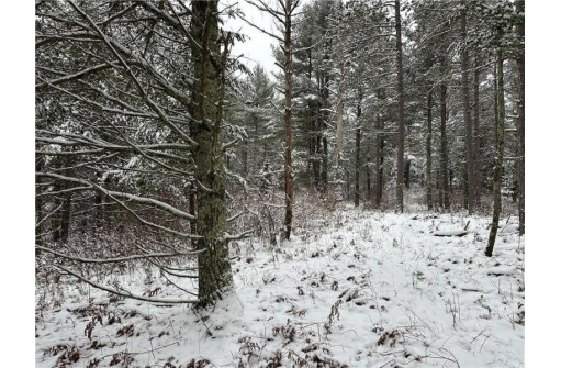 LOT 3 Kavanaugh Road, Cable, WI 54821