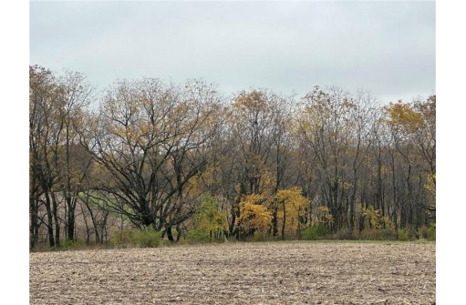 00 (5.24 ACRES) 40th Street, Plum City, WI 54761