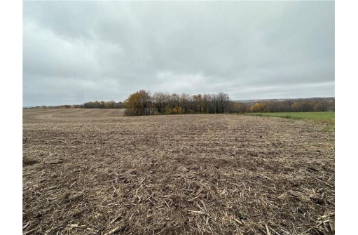 00 (5.24 ACRES) 40th Street, Plum City, WI 54761