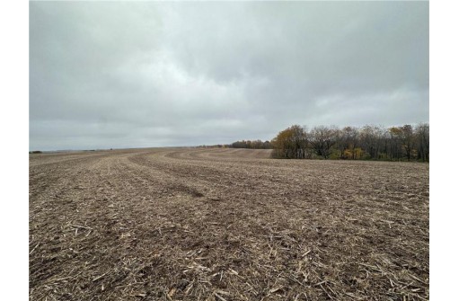 00 (5.24 ACRES) 40th Street, Plum City, WI 54761