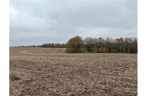 00 (5.24 ACRES) 40th Street, Plum City, WI 54761