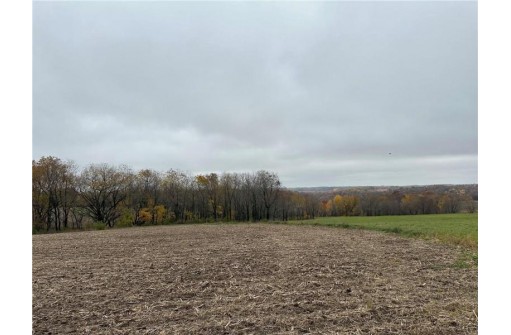 00 (5.24 ACRES) 40th Street, Plum City, WI 54761