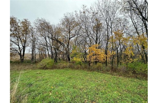 00 (5.24 ACRES) 40th Street, Plum City, WI 54761