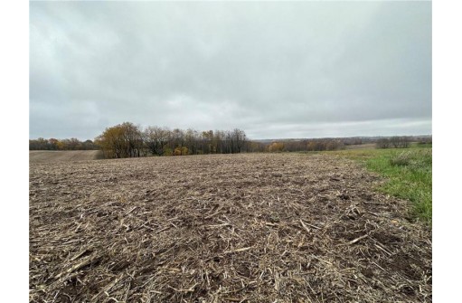 00 (5.24 ACRES) 40th Street, Plum City, WI 54761