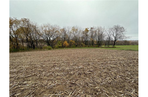 00 (5.24 ACRES) 40th Street, Plum City, WI 54761