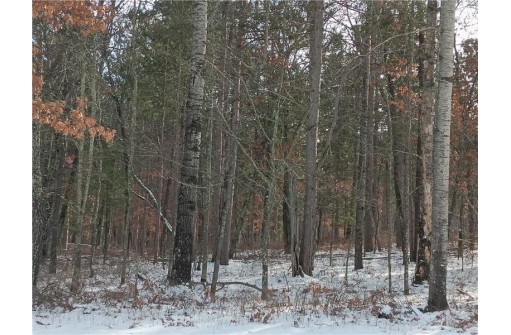 LOT 31 Great Bear Passage, Danbury, WI 54830