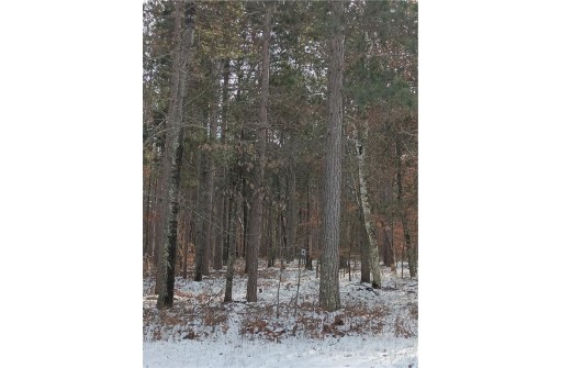 LOT 31 Great Bear Passage, Danbury, WI 54830