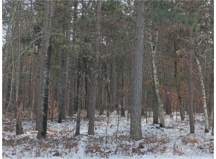 LOT 30 Great Bear Passage Danbury, WI 54830