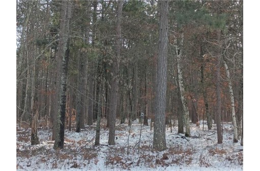 LOT 30 Great Bear Passage, Danbury, WI 54830