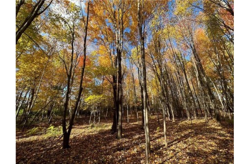 LOT 3 (5.10 ACRES) M Highway, Elk Mound, WI 54739